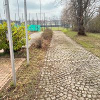 WhatsApp_Image_2026-03-21_3_Custom