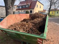 WhatsApp_Image_2026-03-22_2_Custom